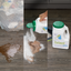Zorbent® Free Sample